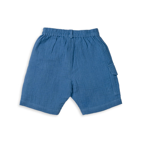 Boys Shorts - Coronet Blue