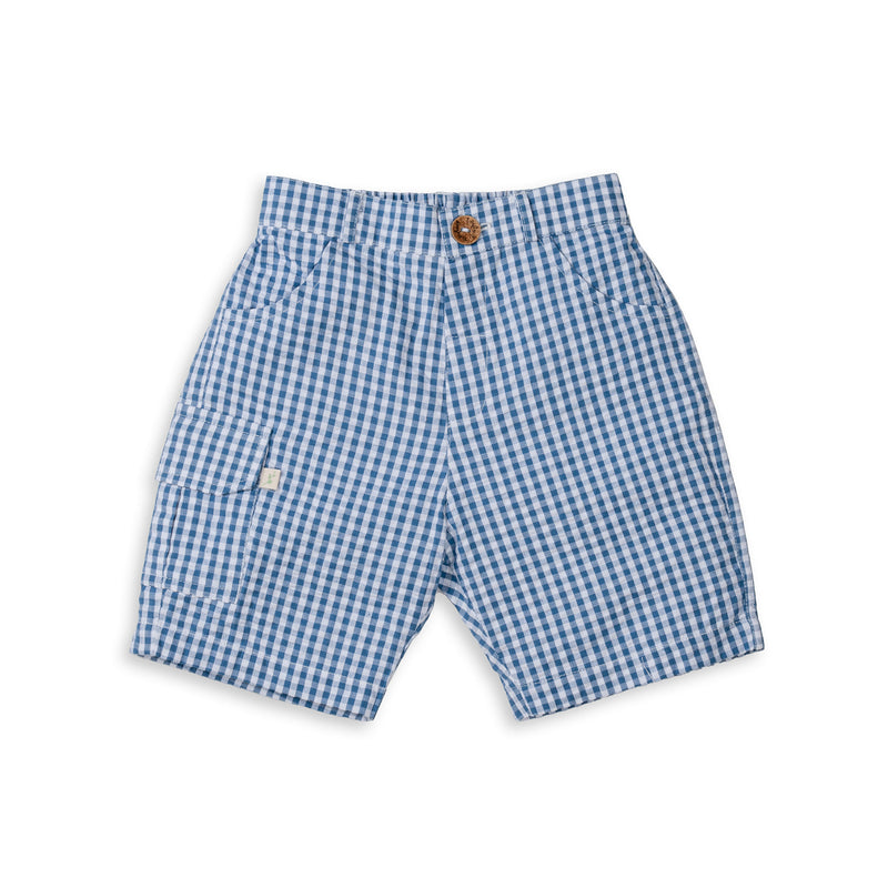 Boys Shorts - Blue Gingham