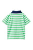 Green Stripe Rugby