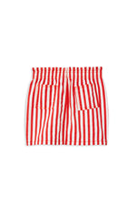 Red Stripe Skirt