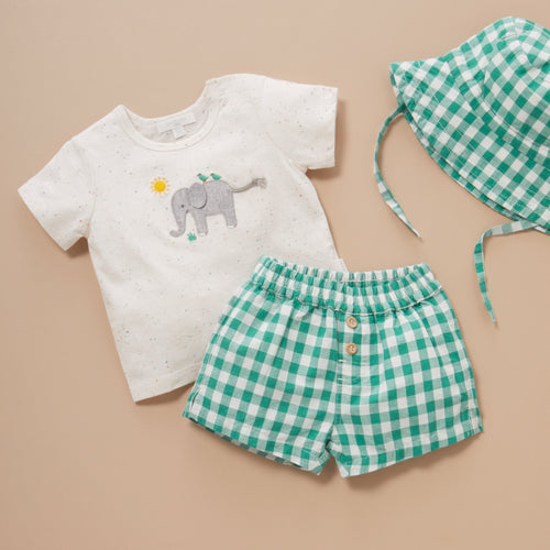 Palm Gingham Tee and Short Set