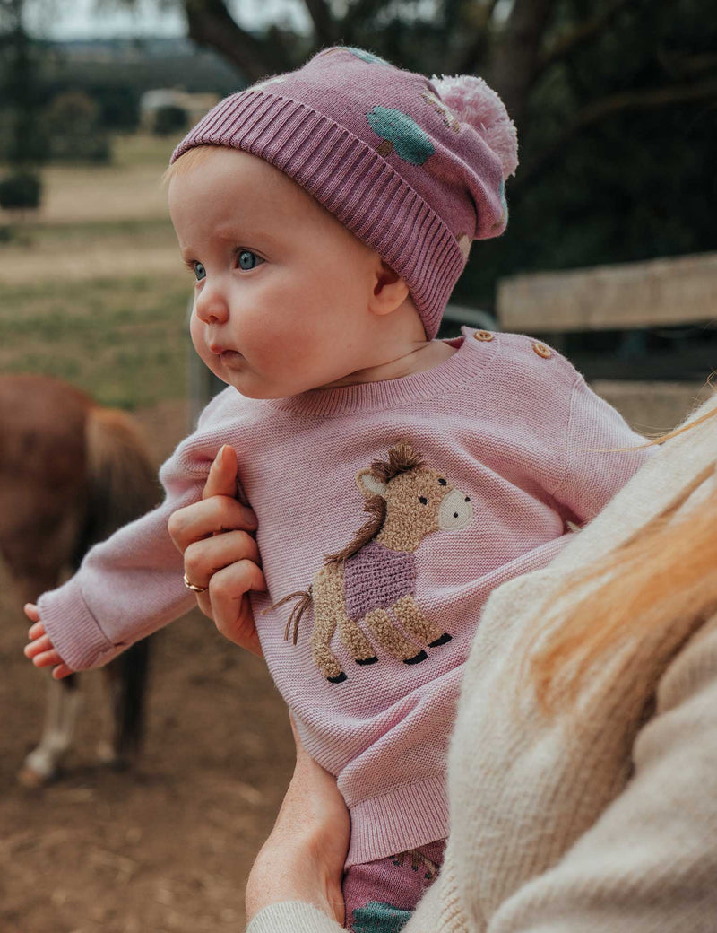 Horse Jumper