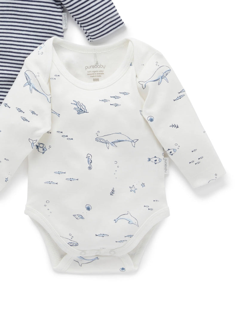 2 Pack Easy Neck Long Sleeve Bodysuit - Vanilla Nautical