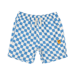 Blue Checker Boardshorts