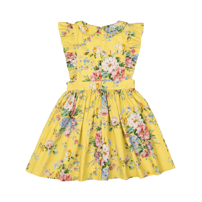 Beatrice Peter Pan Dress