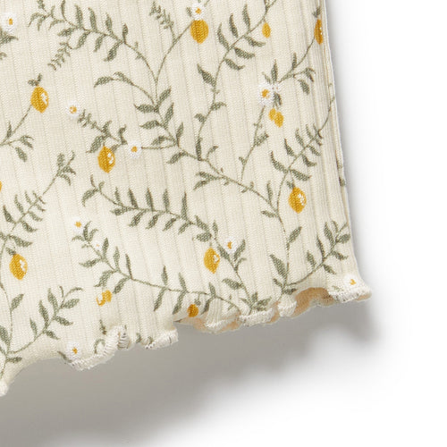 Lemon Leaf Organic Short