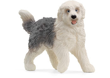 Old English Sheepdog