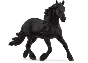 Friesian Stallion