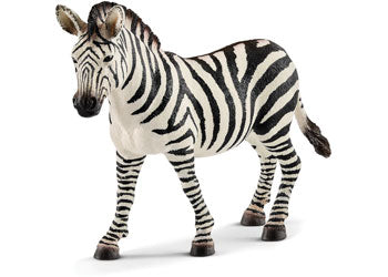 Zebra - Female