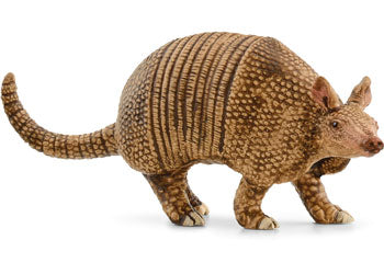 Armadillo