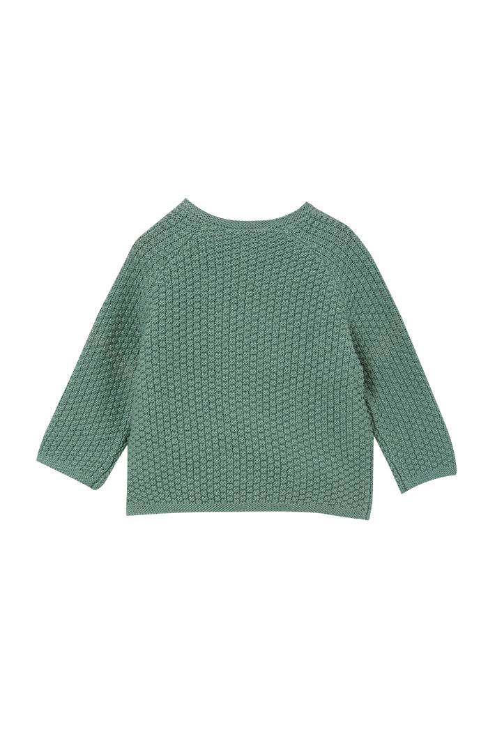 Sage Baby Knit Cardigan