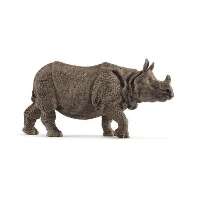 Indian Rhinoceros - Male