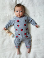 Ladybug Romper Hat Set