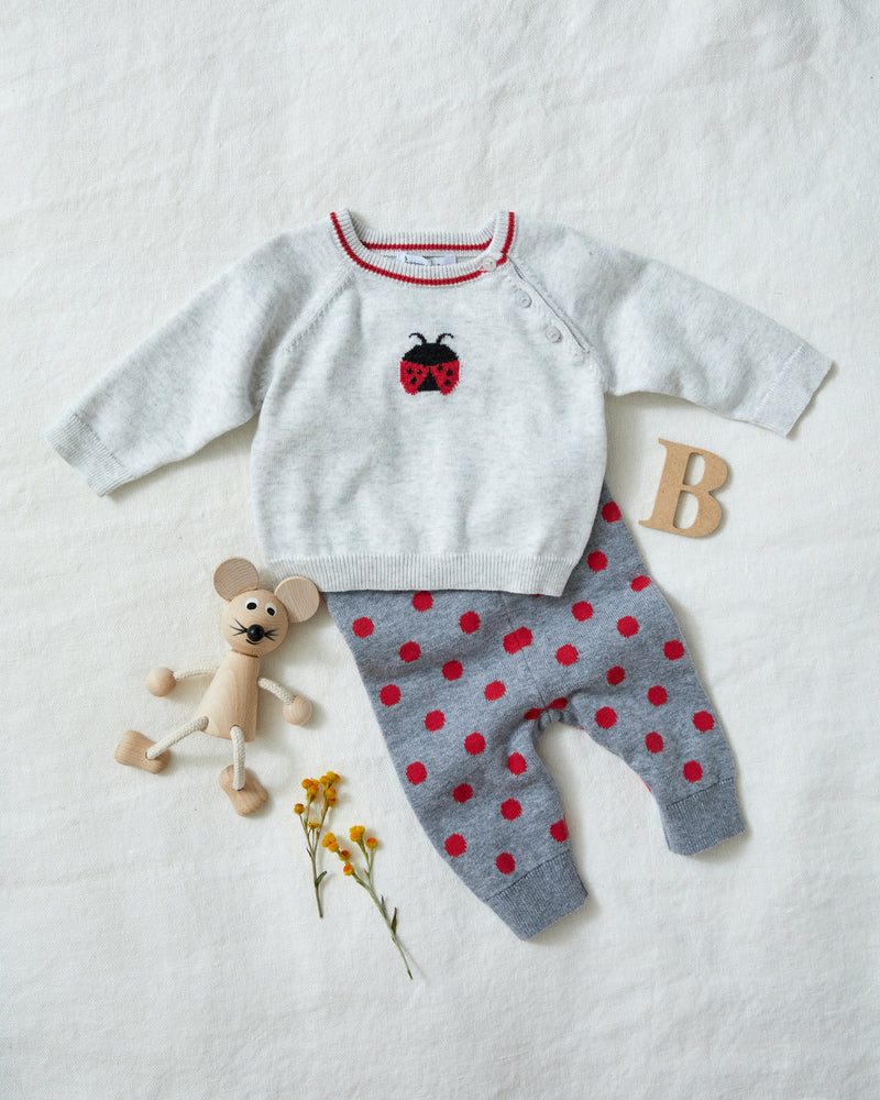 Ladybug 2 piece set