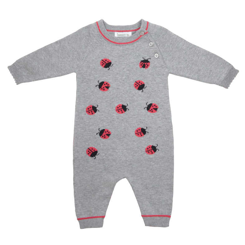 Ladybug Romper Hat Set