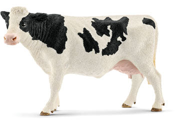 Holstein - Cow