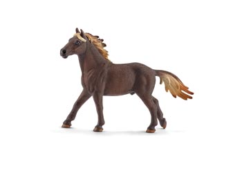 Mustang - Stallion