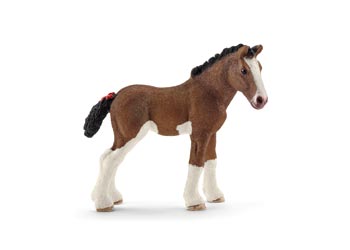 Clydesdale - Foal