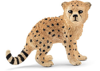 Cheetah - Cub