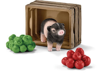 Mini-Pig with Apples