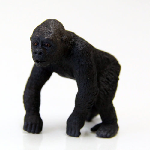 Gorilla - Cub