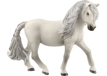 Iceland Pony - Mare