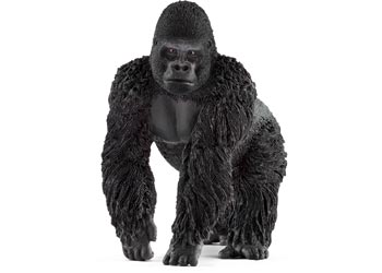 Gorilla - Male
